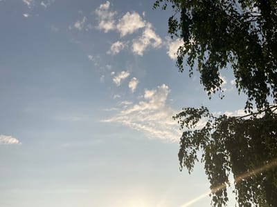 This media file captures a serene sky view with tree branches. The subjects are primarily the natural elements: a vast expanse of a pale blue sky dotted with scattered white clouds, some appearing wispy and stretched, while others are more voluminous and rounded. Overhanging the scene from the right and partially from the top are the dark green, leafy branches of a tree, possibly a birch given the location context. The leaves are small and numerous, creating a dense canopy that contrasts with the open sky.
The activity taking place is none; it's a still shot of nature. Notable details include the time of day, which appears to be late afternoon or early evening. The sun is low, casting a warm glow and creating a lens flare effect in the bottom right quadrant of the image, suggesting a pleasant, possibly slightly hazy, weather condition. The location cues point to "Ракиты, Russia," implying an outdoor, natural setting likely within a park, garden, or rural area. The overall emotion conveyed is peacefulness and tranquility, characteristic of a calm day outdoors. There is no visible text in the image.