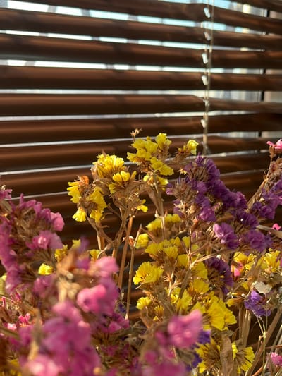 A close-up shows a cluster of dried flowers in various colors—pink, purple, and yellow—against a background of dark brown vertical slats with light filtering through the gaps. The flowers are at different stages of bloom and decay. The scene suggests an indoor setting, and the slats may be part of a decorative screen or wall feature. There is no evident information to pinpoint the location to Neftekamsk, Russia.