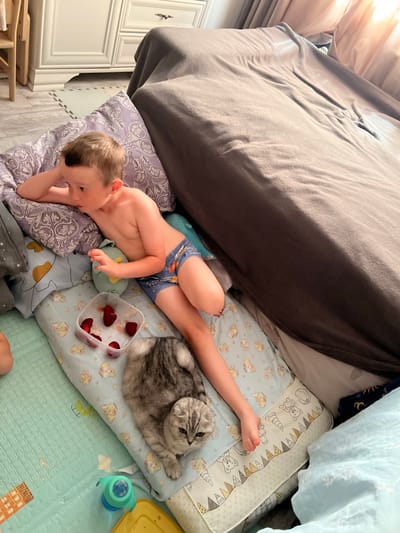 A young child is lying on a bed with a cat beside them. The child is on their side, facing away from the camera, with their left arm extended. They are wearing blue patterned underwear. The cat, a grey tabby, is lying down next to the child. In front of the child is a small plastic container filled with sliced strawberries. The scene appears to be indoors, possibly a bedroom, with blankets and pillows visible. Sunlight streams in from the left, suggesting it might be daytime. The overall mood seems relaxed and domestic. There are no visible text elements in the image.