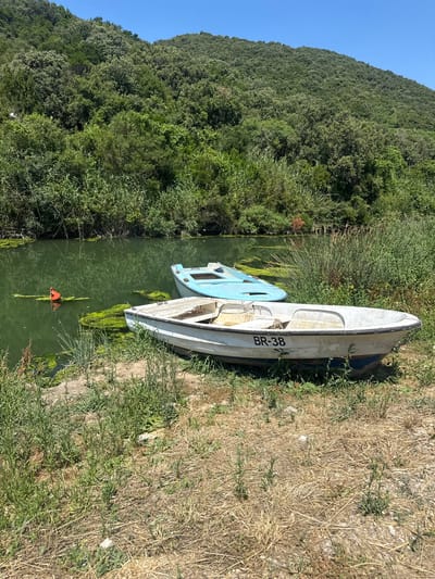 The image depicts a serene waterside scene with two boats beached on the grassy shore. The foreground is dominated by dry, sparse grass and some green vegetation. Behind the dry grass, two boats are positioned. The closer boat is white with a blue stripe along its lower hull and the inscription "BR-38" on its side. It is positioned on the land, slightly angled towards the water. A second, lighter blue boat is partially submerged in the murky green water, further from the shore. The water itself is covered in patches of green algae and there is a small orange buoy floating nearby. The background is a lush, densely vegetated hillside under a clear blue sky. The overall impression is one of a quiet, natural setting, possibly in a rural area near Prijevor, Montenegro, given the vegetation and the style of the boats. There are no people visible in the image.