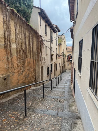The image shows a narrow cobblestone alleyway in Segovia, Spain, located at the coordinates 40.949 latitude and -4.121 longitude. The alleyway is bordered by two tall, weathered, white buildings. The left building is partially obscured by a thick growth of vines. The right building is partially obscured by a metal railing that runs the length of the alleyway. The alleyway slopes upwards, with the sky visible in the upper-left corner of the frame. There are no people in the alleyway. The cobblestones are uneven and worn. The buildings appear to be several stories high, with windows visible on each level. The alleyway is narrow, with the buildings almost touching in the middle. The image is taken from a low angle, looking upwards.
