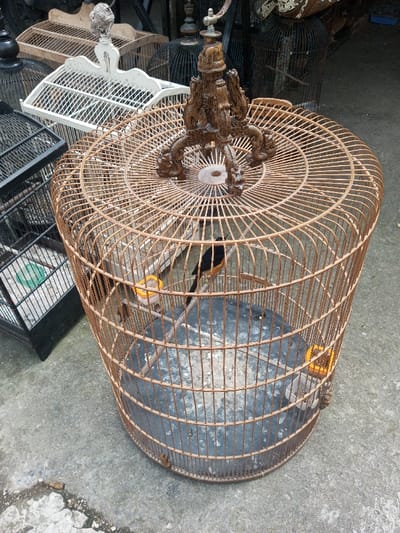 A brown, cylindrical birdcage dominates the view, housing a small black and orange bird perched on a branch. It features a decorative, dark brown, carved wooden piece on top. Surrounding the primary cage are several other birdcages in various styles and colors, including black, white, and natural wood tones. The cages are situated on a gray concrete surface. Two small yellow containers are visible on the inner walls of the birdcage.