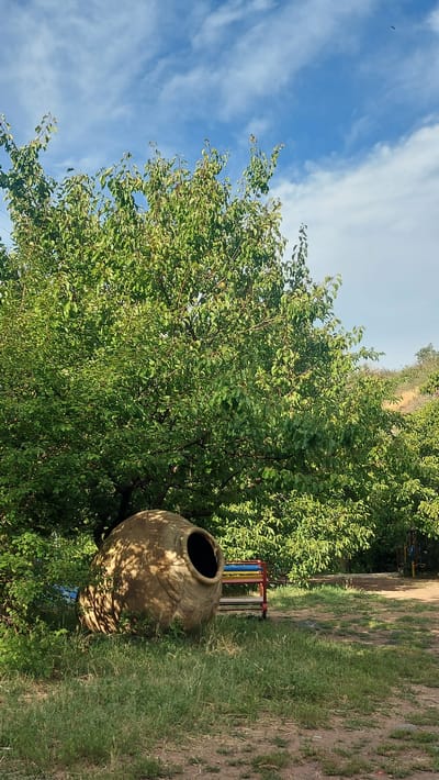 In Oshakan, Armenia, a large, weathered clay amphora lies on its side in the foreground, partially obscured by lush green foliage. Behind the amphora, a vibrant, multi-colored bench with red, yellow, and blue slats is visible, suggesting a park or recreational area. The background features a hillside covered in dry grass and scattered trees, under a bright blue sky dotted with wispy white clouds. The scene is bathed in natural light, casting dappled shadows from the leaves onto the amphora.