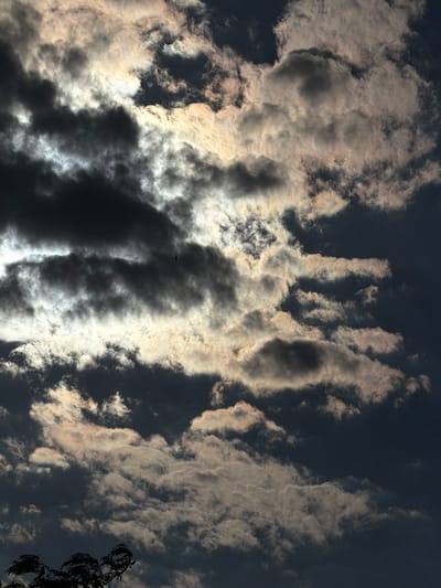 This media file is a photograph of a dramatic sky with dark, stormy clouds interspersed with patches of bright, illuminated clouds. The overall impression is one of a turbulent sky, possibly before or during a storm. A small, silhouetted object, possibly a bird or an aircraft, is visible in the upper left quadrant, adding a sense of scale and dynamism to the scene. The lighting suggests either dawn or dusk, with the sun's rays piercing through the clouds from behind, creating a strong contrast between light and shadow. The clouds themselves are dense and textured, with some appearing wispy and others more solid. The bottom right corner of the image shows the silhouette of tree branches, suggesting the photograph was taken from ground level, looking upwards. The location context of Chirchik, Uzbekistan, provides a geographical anchor for the image, though the scene itself is universally recognizable as a sky view. There is no visible text in the image.