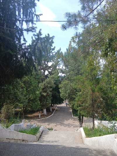 A straight-on, eye-level, medium shot captures a descending concrete pathway flanked by low, white concrete retaining walls. The pathway leads down into a park-like area abundant with various evergreen trees, including tall pines and shorter, denser conifers. The trees cast dappled shadows on the path. In the middle distance, two individuals, one appearing to be an adult and the other a child, are walking away from the camera down the path. Further in the background, the path curves gently to the right, bordered by more trees with whitewashed trunks, suggesting a maintained public space. The sky above is clear blue with scattered white clouds. The overall scene depicts a peaceful, outdoor setting within a city, likely in Bazar-Korgon, Kyrgyzstan, given the architectural style and vegetation.