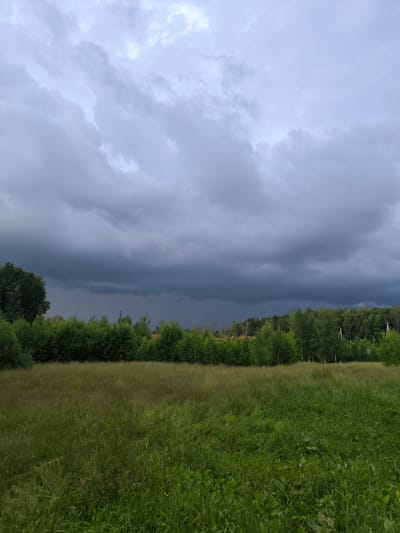 The image depicts a wide, grassy field in Svetlye Gory, Russia, under a dramatically overcast sky. The foreground is dominated by tall, green grass, with some patches of shorter grass and scattered yellow wildflowers. Behind the field, a dense line of trees forms a natural border, with a mix of deciduous and coniferous species. Beyond the trees, the sky is filled with heavy, dark gray storm clouds that create a somber and imposing atmosphere. The overall scene suggests an impending storm or the aftermath of one. There are no people or visible animals in the frame. The environment appears rural and natural.
