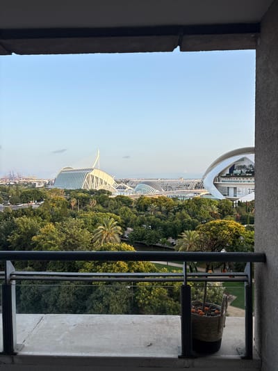 The image shows a view from a balcony in Valencia, Spain, overlooking the City of Arts and Sciences. The foreground features a concrete balcony floor with a metal railing, some of which is obscured by a rough concrete wall on the right. In the lower right corner of the balcony, there is a woven basket containing a small potted tree and several orange fruits. Beyond the balcony railing, a lush green park area is visible, dotted with various trees, including palm trees. In the middle ground, the distinctive architectural structures of the City of Arts and Sciences are prominent. The most noticeable are the Palau de les Arts Reina Sofía with its sail-like roof and the L'Hemisfèric with its eye-shaped design. In the background, more of the complex's futuristic architecture can be seen, along with port cranes and a hazy sky. The overall scene depicts a vibrant urban landscape with a strong emphasis on modern architecture and green spaces.