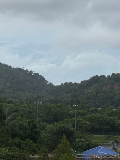 An outdoor, overcast, medium shot captures a lush, tree-covered mountainside in Kathu, Thailand. In the foreground, the tops of buildings with blue corrugated metal roofs are visible. A tall, thin utility pole with three lights stands on the right side of the frame, surrounded by dense foliage. Further back, the undulating mountain range is covered in a thick carpet of green trees, with a gap in the middle revealing a lighter sky. The sky above is a gradient of grey and white clouds.