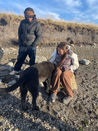 The image depicts an outdoor scene on a sunlit, rocky shoreline in Ushuaia, Argentina. A male individual stands on the left, dressed in a black quilted jacket, dark jeans, and a brown "Sweet Protection" cap with ear flaps, wearing sunglasses and with his hands in his pockets, looking towards the center-right. A female individual sits on a large rock on the right, wearing a white hooded sweatshirt, a multi-patterned "The North Face" puffer vest, brown wide-leg pants, and sneakers. Her long dark hair flows over her shoulder as she looks down, with her right hand extended towards a large black, long-haired dog. The dog stands centrally between the two people, facing the woman with its head lowered near her hand, appearing to be sniffing or interacting with her. A silver and black insulated bottle rests on the gravelly ground near the man's left foot. The ground is covered with various sized pebbles and rocks. In the background, a steep, eroded bank of dark earth and small rocks rises, topped with dry, golden-brown grasses against a clear blue sky with sparse white clouds.
