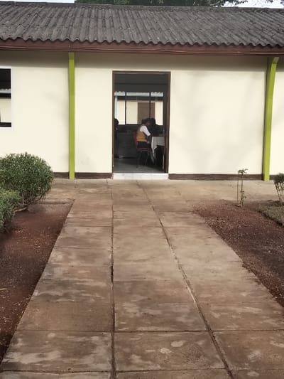 The image captures a ground-level view of a light-colored building with a path leading to an open doorway. The building is a single-story structure with pale yellow or cream-colored walls, accented by vertical lime green strips, possibly decorative or highlighting structural elements, and a dark brown trim along the base. The roof is made of dark gray, corrugated material, showing signs of weathering.
An open doorway stands central in the image, providing a glimpse into the interior of the building. Inside, a room is visible with several individuals seated around a table covered with a white tablecloth. In the foreground, one person is clearly discernible, wearing a yellow or light brown vest over a white shirt, seated on a red chair. This person appears to be leaning forward, focused on an activity at the table, possibly writing or interacting with objects on the surface. Other figures are partially visible further back in the room, suggesting a gathering or meeting. The room is well-lit, with windows visible along the back wall, allowing natural light to enter. The floor just inside the doorway appears to be tiled with lighter-colored tiles.
A paved pathway, constructed from rectangular or square concrete pavers, stretches from the foreground directly to the building's entrance. The pavers exhibit discoloration and signs of age, with several noticeable cracks along the mortar lines, indicating wear and tear.
On either side of the paved path, the ground is covered with reddish-brown soil. To the left of the path, a dense, green bush or shrub grows. To the right, there is a smaller, more delicate young plant or sapling, along with sparse patches of lighter green vegetation or grass. The overall lighting suggests it is daytime, with a soft, ambient illumination rather than harsh direct sunlight, as there are no strong, defined shadows. The scene conveys a quiet, possibly functional or communal setting.