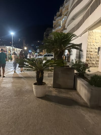 The image depicts a nighttime scene on a promenade in Bečići, Montenegro. Several people are walking along the paved walkway. To the left, a man in a green shirt and shorts is walking away from the camera. Further down the walkway, two women are walking, one in light blue pants and the other in a floral dress. In the foreground, a potted palm tree is visible. Behind the people, there are buildings, including a multi-story structure with balconies and a stone-clad wall. A white car is parked on the side of the road. Streetlights illuminate the area, casting shadows on the ground. The overall atmosphere suggests a lively evening on the promenade.