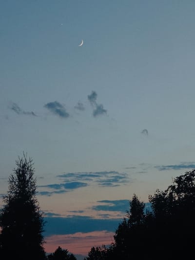 A crescent moon and a bright star are visible in the twilight sky. The sky transitions from a pale blue at the top to a soft pink and orange near the horizon, indicating dusk. Wispy clouds are scattered across the sky, some dark and others catching the fading light. In the foreground, the silhouettes of dark trees and foliage line the bottom of the image, with a tall, conical tree on the left and denser foliage on the right. The scene suggests an outdoor setting at dusk, with a peaceful and serene atmosphere. The location is identified as Hadiach, Ukraine. There is no visible text.