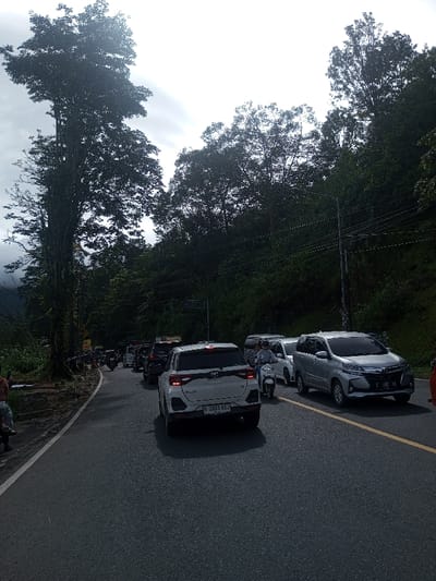 A congested road shows a line of vehicles, including a white SUV with the license plate "B 2003 KEJ", a silver van, and several other cars and motorcycles. Dense trees line the road, creating a lush backdrop. A utility pole is visible among the trees. The sky is overcast, suggesting a cloudy day. A yellow line marks the road's center.