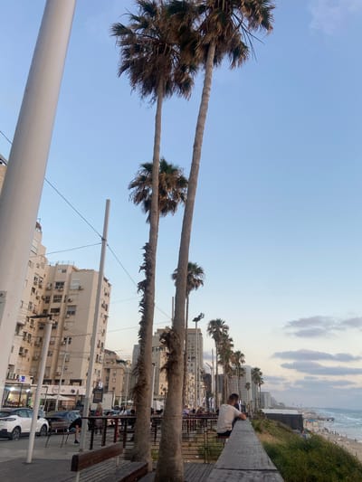 The image depicts a street scene in Bat Yam, Israel, with a focus on palm trees and urban architecture. Several tall palm trees with dry fronds dominate the foreground, their trunks stretching diagonally across the frame. In the background, modern buildings with numerous windows and air conditioning units line the street. The scene extends to a beach with people and beach chairs, leading to the ocean. A cloudy sky with streaks of lighter and darker gray covers the upper portion of the image, suggesting it might be late afternoon or early evening.
Several people are visible. One person is seated on a wooden bench, looking towards the beach. Another individual is standing further down the boardwalk. Some people are also seen sitting at tables outside a restaurant or cafe, and a few more are on the beach. A white car is parked on the street. The overall atmosphere appears relaxed, possibly a pleasant evening stroll or a visit to the seaside promenade. The presence of palm trees and the view of the Mediterranean Sea are strong indicators of a coastal Israeli location.