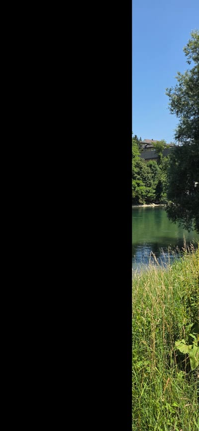 The image displays a verdant riverbank on a bright, sunny day. The left side of the image is entirely black, obscuring any details within that portion. The right side of the image reveals a tranquil river with clear, green water reflecting the blue sky and surrounding trees. On the opposite bank, dense green foliage covers the landscape, with buildings visible nestled amongst the trees on a higher elevation. The foreground features tall, dry grass and other greenery, suggesting a natural, undeveloped area. The overall scene depicts a serene natural environment, likely a park or a riverside area. While the exact location in Zurich is not specified, the presence of lush greenery and the river suggests it could be a natural reserve or a park along one of Zurich's rivers or the lake.