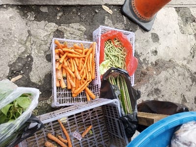 Several plastic crates hold vegetables on concrete. Carrots fill two containers, one stacked above the other. Green beans are in another crate with a red bag. A black plastic bag holds long green vegetables, and a clear bag is filled with leafy greens. A blue plastic bucket is partially visible. An orange traffic cone sits in the background.
