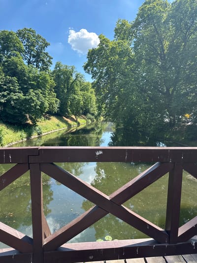 The image is a vertical, slightly angled shot of a canal path bordered by lush green trees on one side and a wooden structure overlooking a canal on the other. The canal reflects the trees and the bright blue sky with a few white clouds. The wooden structure appears to be part of a bridge or walkway, constructed with dark brown beams forming a geometric pattern.
The scene is set outdoors, likely in a park or natural area, given the abundance of trees and the canal. The sunlight suggests it is daytime, likely late morning or afternoon, with clear weather. The canal itself appears calm, with lily pads visible on its surface. The trees are full of leaves, indicating a season of growth, likely spring or summer. The path along the canal is visible, appearing to be made of gravel or dirt, and is lined with vegetation.
No people are visible in the image. The focus is on the natural scenery and the man-made structure. The overall mood is serene and peaceful, highlighting the beauty of the natural environment. The location context provided indicates this scene is in Wrocław, Poland. There is no visible text in the image.