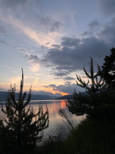 This image depicts a sunset over the Dospat Reservoir in Dospat, Bulgaria. The sky transitions from a pale blue at the zenith to hues of light pink, orange, and red near the horizon, indicating the setting sun. Scattered clouds are present, with lighter, elongated formations in the upper left and darker, denser clouds occupying the mid-right and lower sky. Multiple aircraft contrails are visible against the upper sky.

In the midground, a large body of water, the Dospat Reservoir, reflects the vivid orange and red light of the sunset, creating a luminous path across its surface. The far bank of the reservoir is lined with a range of dark, silhouetted mountains or hills.

The foreground is dominated by the dark silhouettes of two coniferous trees, likely pine trees, exhibiting prominent new growth (candles) on their branches. A third, larger conifer is partially visible on the far right. The immediate bank of the reservoir is covered with dark green grass and sparse, dried vegetation, also in silhouette. No human subjects, animals, or artificial structures are discernible within the frame, apart from the atmospheric contrails.
