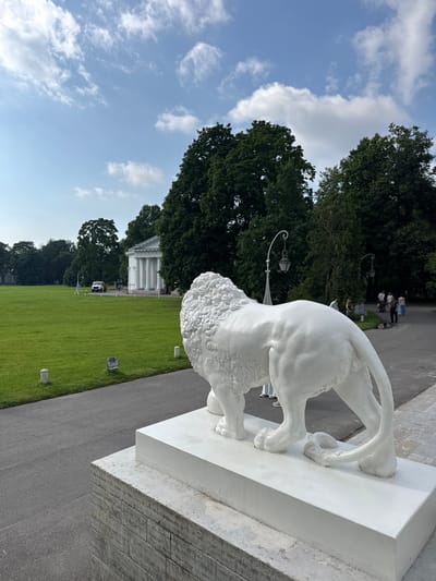 The image displays a white marble lion statue, a common architectural element in Russian parks and palaces, particularly in Saint Petersburg. The statue is positioned at the foreground, with its hindquarters and hind legs prominently visible. Behind the statue, a well-maintained green lawn stretches out, bordered by a paved pathway. In the distance, a classical white building with columns stands, reminiscent of a palace or museum, typical of the architectural style found in the area. Trees line the periphery of the lawn and the building, suggesting a park or garden setting. Several people are visible in the background, some walking and others seated, enjoying the outdoor space. The sky is blue with scattered white clouds, indicating fair weather. The lighting suggests it is daytime, likely mid-morning or afternoon. The overall scene conveys a sense of grandeur and historical significance, typical of the imperial estates in and around Saint Petersburg. No text is visible in the image.