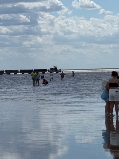 The image shows a group of people wading in a shallow body of water with a pinkish hue, possibly a salt lake, reflecting the sky and clouds. In the background, a train with several carriages and a red tractor on a barge are visible on the water. The sky is filled with dramatic, layered clouds. The scene appears to be taking place in Bursol', Russia, a location known for its salt lakes. The people are casually dressed, some in swimwear and shorts, and they seem to be enjoying the experience of walking in the water. The water is calm with gentle ripples.