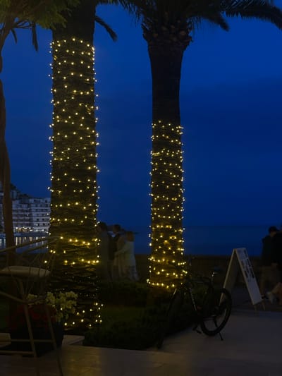 The image shows an outdoor scene in Bečići, Montenegro, at night. Two palm trees are wrapped with strings of lights, their trunks illuminated against the dark blue sky. People are standing and talking in the background near a green area. A bicycle is parked next to a sign. A metal chair and a flower pot containing white and red flowers are in the foreground. A building is visible in the background.