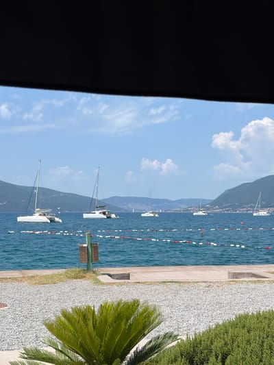 The image shows a coastal scene in Tivat, Montenegro. The perspective is from an elevated position, likely a balcony or window, with a portion of a dark structure visible on the left. The scene captures the Bay of Kotor with several sailboats scattered along the water. A line of buoys runs parallel to the shore, marking a designated area. The shoreline consists of a concrete barrier, followed by a gravel area, and then dense greenery, including a prominent palm tree on the right. In the background, mountains are visible under a bright sky with scattered clouds.