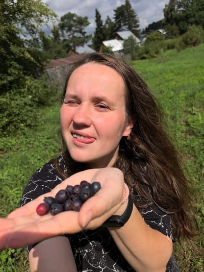 In Rusalevka, Russia, a woman with long, dark brown hair is pictured outdoors, holding a small handful of dark berries in her open palm. Her right hand, adorned with a black fitness tracker and a pink beaded bracelet, cradles the berries. The woman is looking at the camera with a playful expression, her tongue sticking out slightly. She is wearing a black and white patterned shirt. The background features lush green foliage, trees, and structures suggestive of rural housing, under a partly cloudy sky. The scene is illuminated by natural daylight.