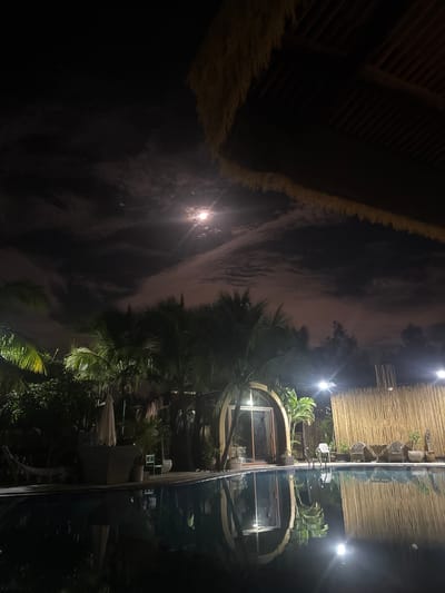 The image depicts a nighttime scene in Mũi Né, Vietnam, likely a resort or outdoor dining area. The perspective is from a reflective surface, possibly a pool or glass railing, creating a mirrored image that dominates the lower half of the frame.
The "upper" portion of the image shows a thatched roof structure with ambient lighting illuminating some tropical foliage and an arched building with windows. There are outdoor chairs and umbrellas visible, suggesting a place for relaxation or dining. The sky is dark with visible clouds, and a bright moon is present, casting a soft glow. Some distant lights and trees are also visible.
The mirrored reflection in the lower half shows a distorted, inverted view of the scene above, adding a surreal quality to the image. The water or glass surface is dark and reflective, mirroring the lights, the roof, the foliage, and the moon.
The overall mood is tranquil and somewhat mysterious, characteristic of a tropical night. There is no visible text in the image. The time of day is clearly night, and the presence of tropical plants suggests a warm climate.