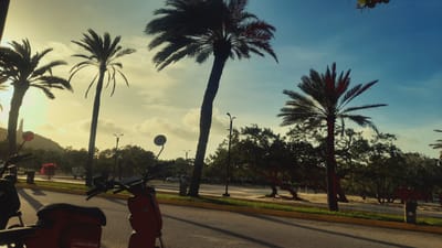 The image depicts a street scene in Pedro González, Venezuela, likely during sunset given the warm, golden light. Several palm trees are silhouetted against a bright sky with scattered clouds. In the foreground, parts of two red and black scooters are visible, suggesting a rental service is present, indicated by the "Happy Rental" text on one of the scooters. The road appears to be asphalt, bordered by a yellow line and a grassy median with a few trees. In the background, a hill with a lighthouse-like structure is visible on the left. The overall atmosphere is tropical and serene, with a hint of urban infrastructure.