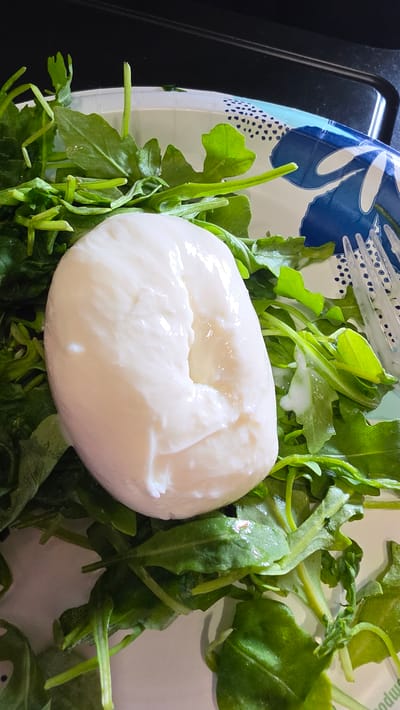 A single, white, oval-shaped ball of mozzarella cheese rests on a bed of arugula greens. The cheese has a slightly wrinkled texture and appears fresh, with some moisture visible on its surface. The arugula leaves are a vibrant green and some have delicate stems. The food is presented on a white paper plate with a blue and white floral pattern around the rim. Part of a silver fork is visible to the right of the cheese, partially submerged in the greens. The background is dark and out of focus, suggesting an indoor setting. The image is captured from a top-down perspective. The scene is located in Haughton, United States of America.