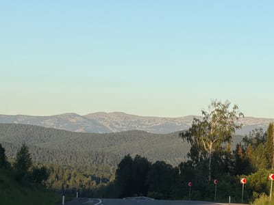 This media file depicts a scenic mountain landscape under a clear, pale blue sky. The scene is dominated by rolling hills covered in dense, dark green coniferous forests, with lighter green deciduous trees interspersed. In the foreground, a winding paved road curves through the landscape, with several red and white directional signs indicating a curve to the right. To the right of the road, a tall, slender birch tree with light-colored bark and delicate green leaves stands out against the darker foliage and distant mountains. The mountains in the background are a muted grey and brown, with visible ridges and valleys, suggesting a vast and rugged terrain.
The time of day appears to be late afternoon or early evening, as indicated by the soft, diffused light and the clear sky with a slight gradient of color. The weather is fair, with no clouds visible. The overall mood is peaceful and serene, highlighting the natural beauty of the remote mountainous region.
There is no visible text in the image, other than the red and white directional markers on the road signs, which are standard traffic symbols. The location is identified as Kaz, Russia. The image captures a sense of travel and exploration through a natural, undeveloped environment.