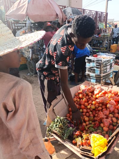 The image depicts an outdoor market scene in Kawaji, Nigeria, under clear daylight conditions. In the left foreground, the back and right shoulder of a person wearing a light-colored, wide-brimmed straw hat and a light-brown shirt are visible, facing right. The central figure is a young male with short, dark curly hair, dressed in a black short-sleeved shirt patterned with white and red heart shapes containing US flag motifs, and dark trousers with a white stripe. He is bent over a large, open cardboard box, with his right hand extended into the box, seemingly arranging or selecting produce.
The cardboard box is filled with various fresh produce, including a large quantity of small red tomatoes, some of which are pre-packaged in clear plastic bags. Also present are onions, green leafy vegetables, and assorted bell peppers in red, green, and yellow hues. An orange plastic bag hangs from the side of the box, and a yellow plastic bag is placed inside.
In the mid-ground and background, other market activity is visible. A person in a blue shirt is partially obscured behind the central vendor. Further back, another individual wearing a red shirt and a red cap is positioned under a faded reddish-brown market umbrella or awning. To the right of the central vendor, a stack of items wrapped in clear plastic and black tape rests on a stand. The background includes glimpses of other market stalls, structures, and additional individuals. The ground surface is unpaved earth.