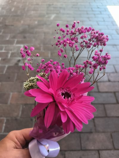 A hand holds a bouquet of bright pink gerbera daisies and delicate pink baby's breath flowers. The flowers are wrapped in translucent purple paper and tied with a light purple ribbon. The bouquet is held against a backdrop of grey brick paving stones. The scene is illuminated by natural light casting a shadow on the right side of the frame. The image was taken on 08/02/2024 at 13:04 in Kladno, Czechia.