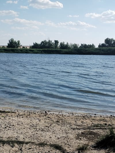 A wide-angle, landscape photograph captures a tranquil scene of a calm body of water, likely a river or lake, under a bright, partly cloudy sky. The water occupies the majority of the frame, its surface rippling gently, reflecting the soft blue of the sky and the scattered white clouds. The light suggests it is daytime, likely late morning or early afternoon, given the clear visibility and the strength of the sunlight creating dappled shadows on the foreground.
Along the far bank, a dense line of lush green foliage, consisting of trees and undergrowth, stretches horizontally across the image. Some taller trees stand out, their branches reaching upwards, creating a varied silhouette against the sky. Beyond the foliage, hints of a tan, cultivated field or open land can be seen, suggesting a rural or semi-rural setting.
The foreground is a sandy shore, covered with small pebbles and a few larger stones. Some sparse tufts of grass and dry vegetation are visible, indicating a natural, uncultivated area. A shadow cast from something outside the frame, possibly trees or a structure, falls across the sandy bank in the lower left corner, adding a sense of depth and suggesting the sun's position.
There are no people or prominent man-made objects visible in the scene, contributing to a feeling of peaceful solitude. The overall atmosphere is serene and natural, evoking a sense of quietude and the beauty of a summer day in a Ukrainian landscape, specifically Bilousivka. The weather appears to be fair and pleasant.
