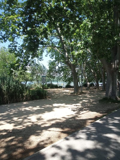 The image depicts a shaded park area next to a body of water, likely Lake Banyoles in Banyoles, Spain. Large trees with dense green foliage line the right side of a sandy path, casting dappled shadows on the ground. The path curves to the right and meets a paved walkway in the foreground. In the background, reeds and other vegetation grow along the water's edge. A signpost with text in what appears to be Spanish is visible amidst the reeds on the left side of the path. A few individuals are discernible in the distance near the water. The overall scene is serene and suggests a recreational outdoor space.