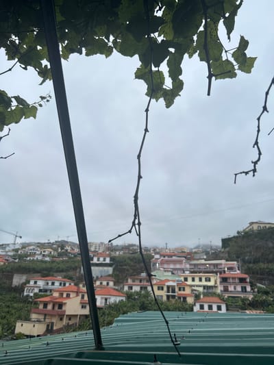 A view from a high vantage point in Câmara de Lobos, Portugal shows residential buildings with orange roofs situated on a hillside, taken from under a green awning. Overhanging greenery obscures the view of the sky. A metal bar runs diagonally across the frame.
