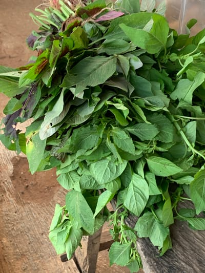 A high-angle, slightly blurred photograph shows a large bundle of leafy green vegetables, possibly amaranth, lying on a surface. The leaves are mostly green with some showing tinges of red and purple towards the base. The vegetables appear freshly harvested. The surface they rest on is wooden and sits on a dirt floor. The location is Gbeleko, Nigeria. No people are visible. The focus of the image is the bundle of vegetables. The environment seems rural with natural materials evident.