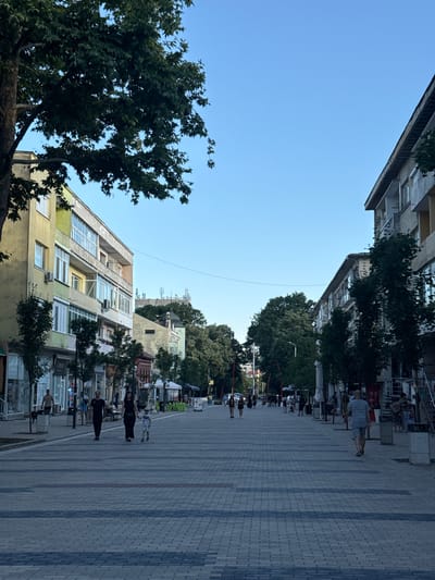 This is a vertical, outdoor photograph taken in Dobrich, Bulgaria, likely in the late afternoon or early evening due to the warm, soft lighting and long shadows cast across the pedestrian walkway. The scene depicts a bustling urban street lined with multi-story buildings and mature trees.
The foreground features a wide, paved pedestrian area constructed of grey and blue rectangular tiles, laid in a patterned design. Several people are visible walking along this pathway, some singly and others in small groups. Their attire suggests a casual, warm-weather setting. Objects such as benches, trees in planters, and what appear to be market stalls or small shops are also present along the sides of the walkway.
The buildings on either side of the street display a mix of architectural styles, with some appearing older with balconies and awnings, while others are more modern with large windows. One building in the midground is painted in shades of yellow and light green, with numerous windows and air conditioning units. Trees are interspersed throughout the scene, providing shade and a touch of nature within the urban environment.
In the background, more buildings and trees can be seen, along with what appear to be telecommunication towers or antennas on the rooftops. The sky above is a clear, pale blue, indicating fair weather. The overall impression is one of a lively, everyday scene in a European city, with people enjoying the public space. No discernible text is clearly legible in the image.