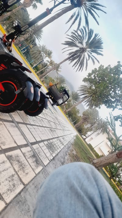 The image captures an outdoor scene, likely in a tropical or subtropical location, given the prominent presence of palm trees. The perspective suggests a low-angle shot, possibly taken from a seated position, as a person's legs covered in light blue denim are visible in the foreground, out of focus.
In the mid-ground, three electric scooters are parked side-by-side on a paved walkway composed of rectangular tiles. The scooters are black with red accents on their wheels and mudguards. The handlebars and front portions of two scooters are visible, one bearing the "iScooter" logo.
Beyond the scooters, a small, dark-colored vehicle, resembling a utility cart or golf cart, is parked on the side of the road. White flowers are visible near this vehicle. The background features a lush environment with various palm trees of different sizes and species, some with drooping fronds. Further in the distance, a mountainous landscape is discernible under an overcast or hazy sky.
The pavement appears wet, suggesting recent rain or a damp environment. The overall setting suggests a public area, possibly a park, promenade, or resort, conducive to recreational activities like scooter riding. The city of Pedro González, Venezuela, is known for its coastal areas and tropical vegetation, which aligns with the visual cues in the image.