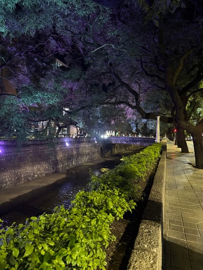 Night scene of Cañada de Cordoba, Argentina, featuring a tree-lined water channel and pedestrian walkway. The water channel is on the left, bordered by stone embankments and dense green vegetation. The trees above are illuminated with purple lighting. On the right, a paved walkway is visible, constructed from stone blocks. A bridge spans the water channel in the distance. The time is likely night.