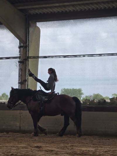 A woman mounts a horse in an indoor riding arena in Estaimpuis, Belgium. The woman wears black leggings, striped black socks and sneakers, and a grey sweatshirt. She uses a mounting block to get on the horse. The horse is brown with a black mane and tail and is saddled. The arena has a sandy floor and a metal and translucent fabric roof structure.