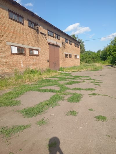 The image captures a brick warehouse building with a corrugated metal roof, situated in a rural or semi-rural environment, possibly Sozonivka, Ukraine. The building features several windows, some of which are boarded up or appear to be in disrepair. A large brown metal door is visible on the side of the building. The foreground shows a dirt and asphalt area with patches of green grass growing through the ground. In the background, there are dense green trees and a bright blue sky with scattered white clouds. The overall scene suggests a functional, yet somewhat neglected, industrial or agricultural structure in a natural setting. There are no people clearly visible in the image, though a shadow that resembles a person is cast on the ground in the lower right corner.