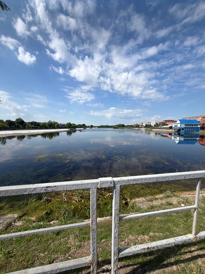 This is a vertical, eye-level shot of a calm body of water with a visible white railing in the foreground. The water reflects the blue sky and scattered white clouds, as well as trees and buildings on the far bank. The water appears somewhat murky and has patches of green aquatic vegetation. Beyond the water, a line of trees separates the water from a cluster of buildings, including a prominent blue building with white trim, which appears to be a restaurant or cafe. The sky is bright blue with fluffy white clouds. The area around the railing is covered in green grass with some dry patches and sparse weeds. The railing itself is made of metal with peeling white paint and visible rust. The scene depicts an outdoor environment, possibly a park or waterfront area, in the city of Leningradskaya, Russia. No people or animals are visible in the frame.