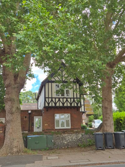 A daytime view captures a residential street scene in West Suffolk, United Kingdom, featuring a distinctive house framed by two large, mature trees. The image is oriented vertically but depicts a landscape scene.

The house, centrally positioned, exhibits a mock Tudor architectural style on its upper floor, characterized by white walls with prominent dark timber framing. The ground floor is constructed from red brick, featuring white-framed windows and a white front door.

Two substantial trees, likely plane trees, with their characteristic mottled bark and lush green lobed leaves, dominate the foreground and background, obscuring parts of the sky and house. Their branches spread widely, indicating significant age.

To the right of the house, a paved footpath runs alongside a road. Four black wheelie bins with silver handles are neatly lined up along the path. A low, textured stone wall separates the house's front area from the footpath. Two large green utility boxes are visible on the ground near the front door, one with a blue label displaying the number "40". Further down the street, a white van is partially visible. The sky above is blue with scattered white clouds, suggesting fair weather. Small plaques on the house and near a tree trunk are present but their text is illegible.