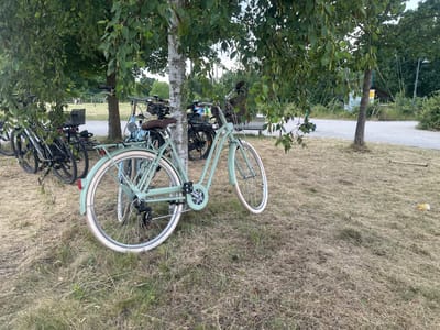 The image shows a cluster of bicycles parked under a tree with green leaves in a grassy area. One bicycle in the foreground is light green with white tires and a brown saddle. Several other bicycles, some with baskets, are visible behind it. In the background, a gravel path leads to a wooded area with a structure that appears to be a playground or obstacle course, possibly part of the Benrath Palace park in Dusseldorf, Germany. The ground is covered in dry grass and a few scattered leaves. The lighting suggests it is daytime.