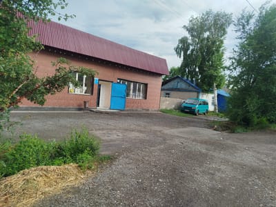 The image shows a building with a red corrugated metal roof and brick-like siding, possibly a small office or community center, in a rural setting. A bright blue door is open, revealing a glimpse of the interior. There are several windows on the side of the building. To the right of the main building, there is another smaller structure with a blue roof and gray walls, and a bright blue trim around the windows and door. A turquoise van is parked in front of this smaller building. Tall trees, including a prominent birch tree, are visible behind the buildings, suggesting a location with natural vegetation. The ground in front of the buildings is a mixture of gravel and dirt, with some patches of green grass and a pile of dry straw in the foreground. The sky is overcast with clouds, indicating a cloudy day, likely in the late morning or early afternoon. There is a sign with text on the main building, but it is too blurry to read. The license plate on the van also has text, but it is unreadable. The overall scene depicts a quiet, perhaps somewhat isolated, rural location in Kabanbay, Kazakhstan, with a focus on the architecture and the natural surroundings. There are no people visible in the image.