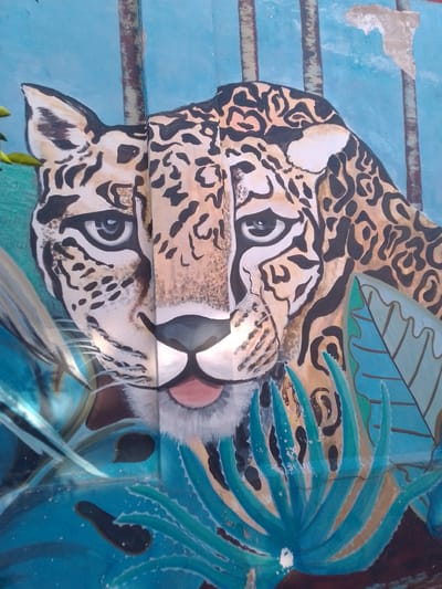A detailed mural of a jaguar's head is painted on a weathered, light blue surface, likely an exterior wall. The mural's background includes stylized tree trunks and peeling paint. The jaguar's face is prominent, with intricate black spots on a tan and cream-colored coat. Bright white highlights accentuate the nose, and blue and green painted flora frame the bottom of the jaguar's head. The image appears to have been taken in San Lorenzo, Paraguay, based on contextual information.