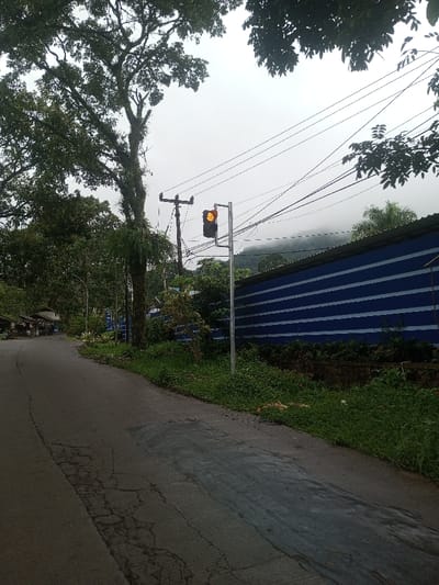 A road curves to the left, flanked by lush greenery. A blue building with horizontal stripes lines the right side of the road, partially obscured by vegetation. A traffic light displays an amber light. Power lines crisscross overhead, leading to a utility pole. Large trees with dense foliage frame the scene, with a hint of misty hills visible in the distance. The overcast sky suggests a cloudy day.
