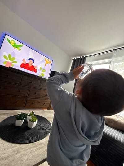 This media file captures a child, seen from behind and from the side, holding a glass of water and looking towards a television screen. The child is wearing a light blue hooded sweatshirt. The television is displaying animated content featuring a person in a red top and blue hat, with green birds and stylized plants. The scene appears to be indoors, possibly in a living room or play area.
To the left of the television, a dark wooden cabinet with multiple drawers is visible. In the foreground, on a wooden surface, a black circular placemat holds two small potted succulents. Behind the child, a window with blinds is partially visible, suggesting it might be daytime. The overall impression is a casual, domestic setting. The child's posture and focus on the screen suggest engagement with the content. There is no visible text within the frame. The location is specified as New York, United States of America.
