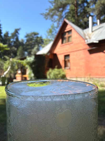 An outdoor shot shows a glass of beer in the foreground, with a red brick house and trees in the background. The glass is clear and filled with a light-colored beverage, topped with a frothy head. Bubbles cling to the inside of the glass. The house, partially visible, is two-story with a peaked roof and a chimney. The setting appears to be a residential area, likely in Udelnaya, Russia, given the architectural style and surrounding greenery. The day is bright and sunny.